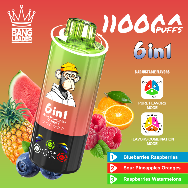 Bang Leader 110 000 zaciągnięć 6 w 1: jagody, maliny, kwaśny ananas, pomarańcze, maliny, arbuzy – 100vaping