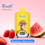 RandM Tornado 12000 Strawberry Watermelon Flavor Disposable Vape - 100vaping