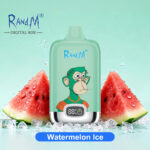 RandM Tornado 12000 Watermelon Ice Flavor Disposable Vape - 100vaping