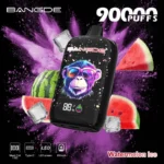 Bang DE 90K Puffs Watermelon Ice Flavor Disposable Vape - 100vaping