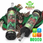 QQ Bang Shisha 80K Puffs Double Apple Flavor Disposable Vape - 100vaping