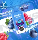 Jednorazowy vaporizer Stagbar Nexus 60K Puffs o smaku jagodowo-malinowym z nutą lodową – 100vaping