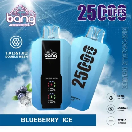 Jednorazowy vape Bang 25 000 zaciągnięć z możliwością ładowania – Blueberry Ice