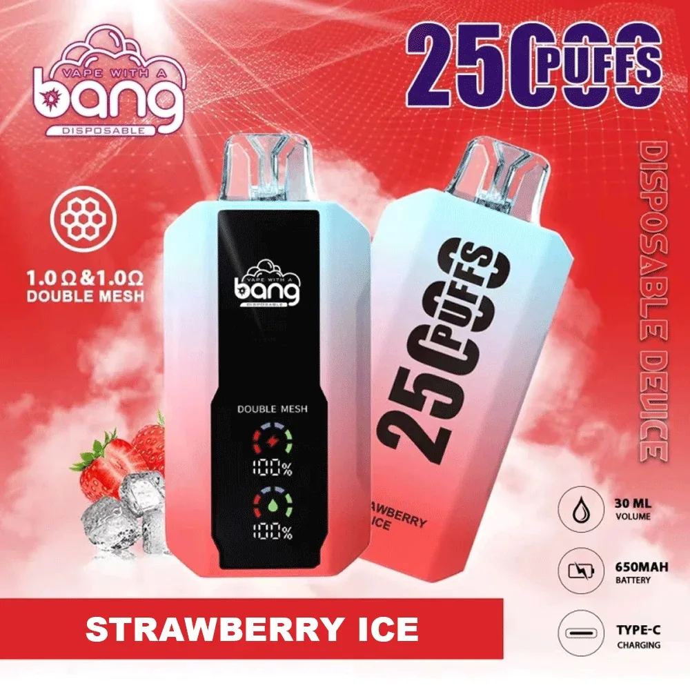 100vaping-bang-25k-main Bang 25K Puffs Disposable Vape Rechargeable – product view