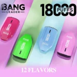 Bang Leader 18K Vape 18000 Puffs Disposable Vape – product view